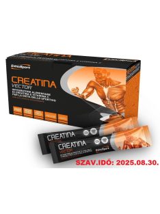 CREATINA VECTOR