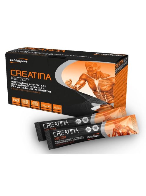 CREATINA VECTOR