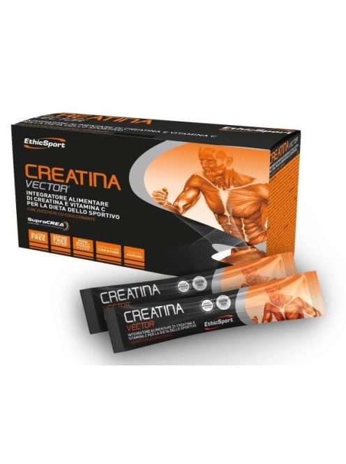 CREATINA VECTOR