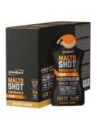 MALTO SHOT ENDURANCE PLUS NARANCS-CITROM (KARTON)